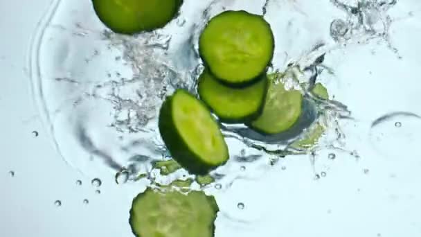 Gurkenscheiben, die klares Wasser in Superzeitlupe in Großaufnahme spritzen. Grünes Vitamingemüse, das in ein transparentes Aquarium auf weißem Hintergrund fällt. Frisches reifes Gemüse für ein gesundes Ernährungskonzept. - Filmmaterial, Video