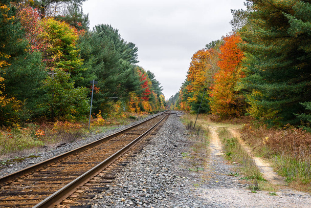 Chemin de fer à travers une forêt par une journée nuageuse d'automne. Un interrupteur est visible à distance. Belles couleurs d'automne. - Photo, image