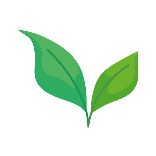 ekologia zielonych liści ikona roślin - Wektor, obraz