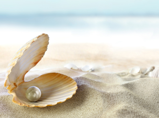 Shell with a pearl - Photo, Image