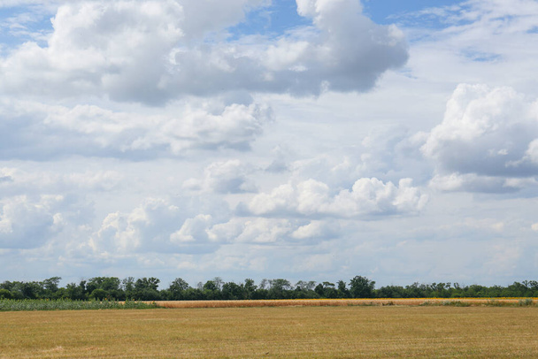 Picturesque view of field and sky with clouds - Foto, Bild