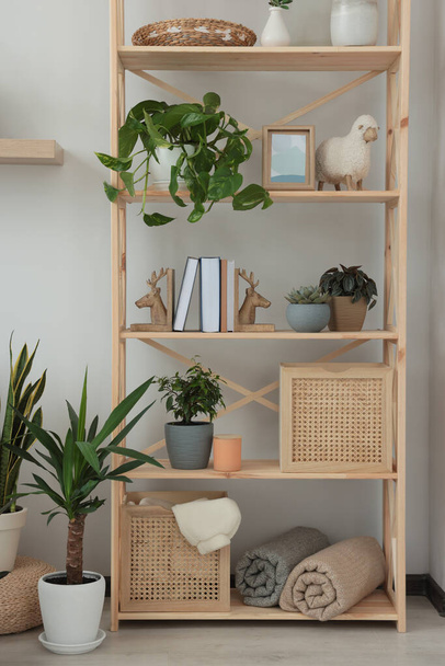 Wooden shelving unit with home decor and beautiful houseplants in room - Foto, immagini