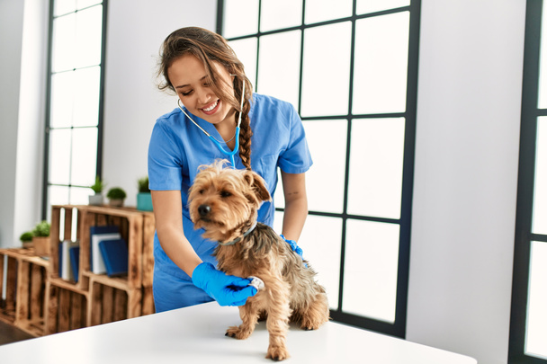 Young beautiful hispanic woman veterinarian examining dog with stethoscope at home - 写真・画像