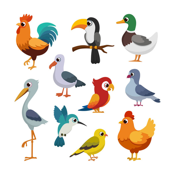 Art anders Vogel und Geflügel Tier für Kinder Bildung Cartoon-Stil - Vektor, Bild