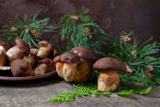 Autumn composition of boletus badius, imleria badia or bay bolete mushrooms and clay plate with mushrooms on vintage wooden background with green branch of pine tree and fern leaf on back. Edible and pored fungus has velvety dark brown or chestnut co - Valokuva, kuva