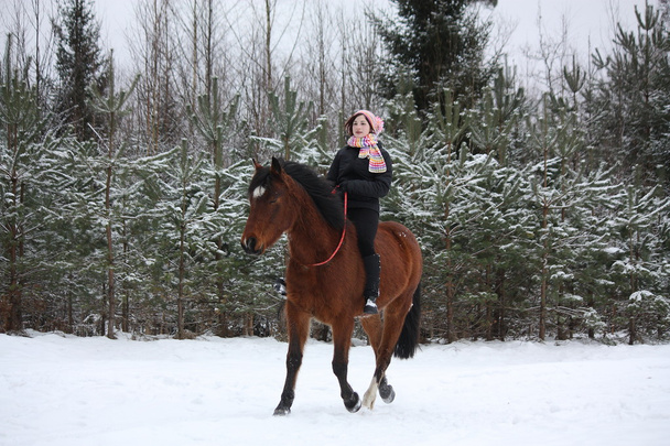 Eyer ve at başlığı olmadan at binme genç kız - Fotoğraf, Görsel