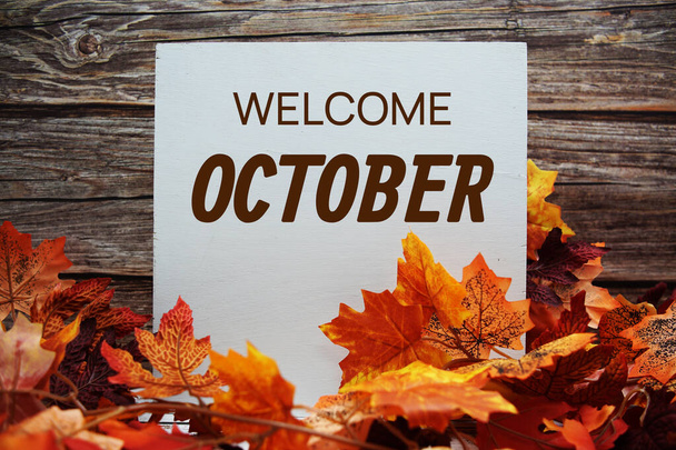 Welcome October text message with autumn maple leaves decoration on wooden background - Foto, immagini