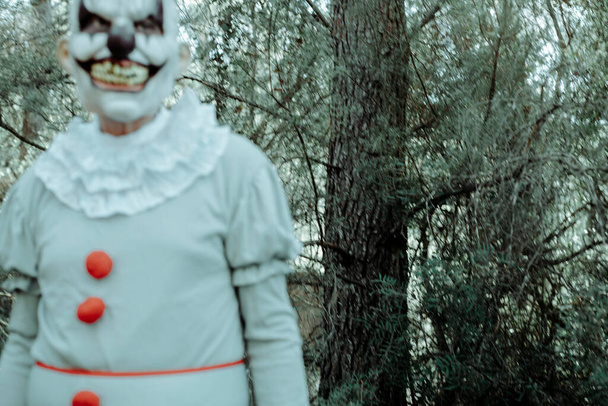 close-up de um palhaço do mal assustador, vestindo um traje cinza com pom-poms vermelhos e um ruff branco, em movimento enquanto está despertando na floresta ao entardecer - Foto, Imagem