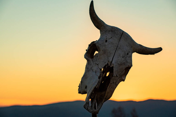 Pôr do sol nas montanhas com crânio de vaca - Foto, Imagem