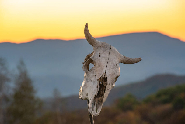 Coucher de soleil dans les montagnes avec crâne de vache - Photo, image