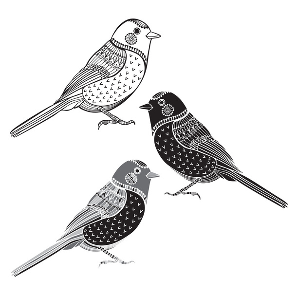 Set of birds - Vektor, kép
