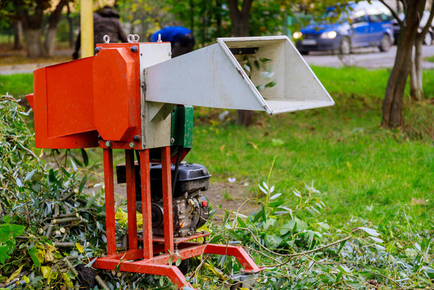 Máquina trituradora de madera portátil a ramas de árbol cortadas para reducir astillas de madera - Foto, Imagen
