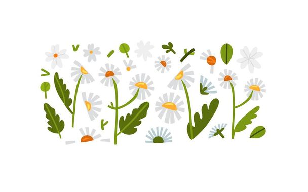 Dibujado a mano vector gráfico abstracto clipart ilustraciones colección conjunto de composición con formas de la naturaleza abstracta de flores de margarita en flor y hojas. - Vector, imagen
