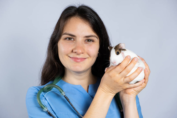 Vétérinaire tient un petit cobaye dans ses mains et sourit gros plan. - Photo, image