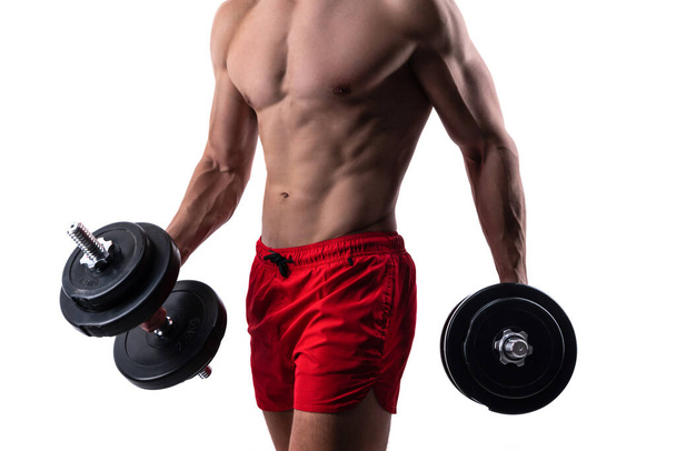 bodybuilder has sport workout with dumbbell. sport workout of bodybuilder hold dumbbell. sport workout in gym. bodybuilder do sport with dumbbell isolated on white background. weightlifting workout. - Foto, afbeelding