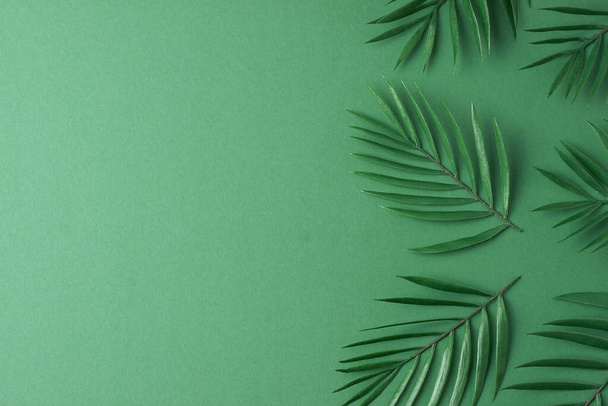 Fondo cosmético con hoja de palma sobre verde. Colocación plana, espacio de copia - Foto, imagen