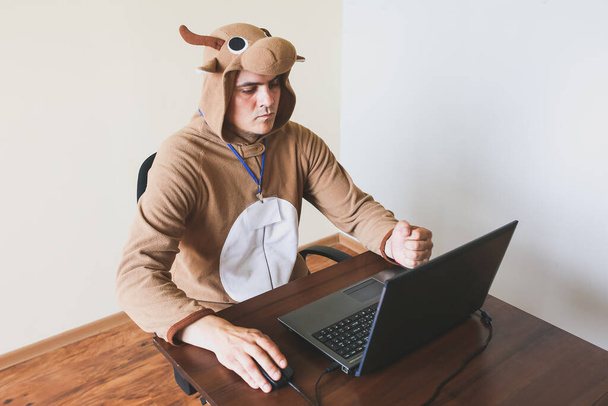 Office worker in cosplay costume of a cow. Guy in the funny animal pyjamas sleepwear near the laptop. Parody on manager. - Photo, Image
