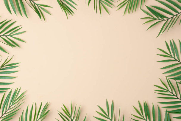 Pastel beige achtergrond met palmbladeren. Vlakke lay, kopieerruimte - Foto, afbeelding