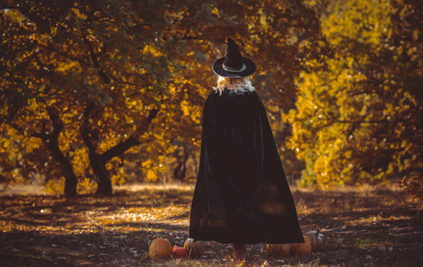 Halloween time, witch Lady in Mystical forest, October atmosphere, witchcraft concept, ideas for mysterious Party  - Photo, Image