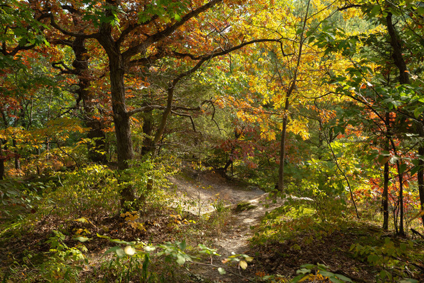 Fall landscape at Starved Rock State Park, Illinois, USA. - Foto, afbeelding