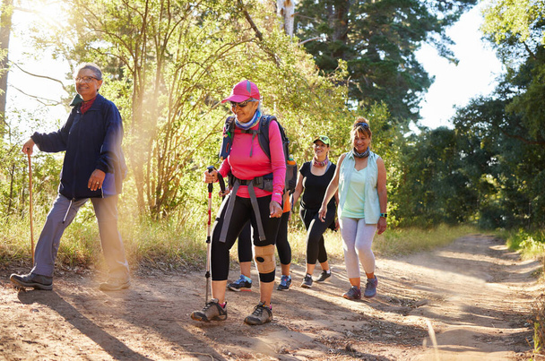 Wędrówki, spacery i starsze kobiety w lesie lub lesie na szlaku turystycznym razem. Grupa starszych kobiet wykonujących ćwiczenia, treningi i sprawność na emeryturze, aby utrzymać aktywność. Przyjaciele spacerujący w naturze. - Zdjęcie, obraz