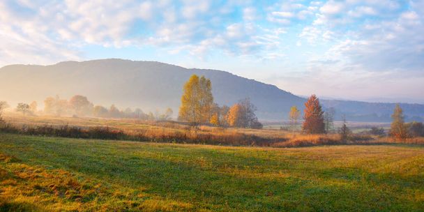 rural fields in autumnal countryside. colorful mountain landscape on a misty morning. trees in fall foliage - Фото, изображение