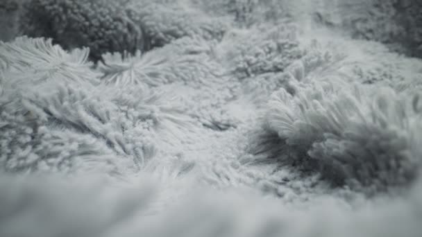 Light grey synthetic fur details. Macro view. - Footage, Video
