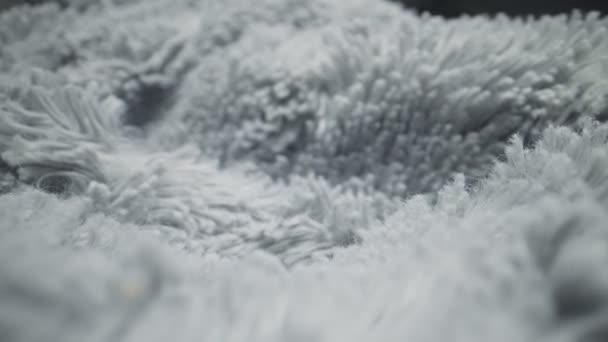 Light grey synthetic fur details. Macro view. - Footage, Video
