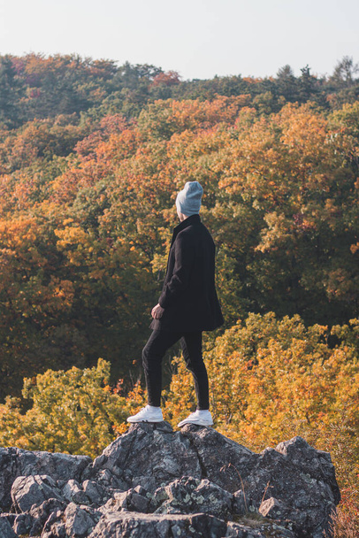 ελκυστικός νεαρός με μαύρο παλτό και γκρι καπέλο περπατά κατά μήκος του βράχου, και πίσω του τα φυλλώδη δέντρα παίζουν με όλα τα χρώματα του φθινοπώρου. - Φωτογραφία, εικόνα