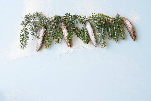 cones and fir branches in the snow on a light background. Festive new year christmas background - Foto, immagini