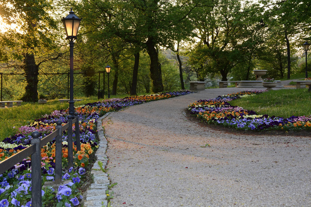 grüne Parks in Polen - Foto, Bild
