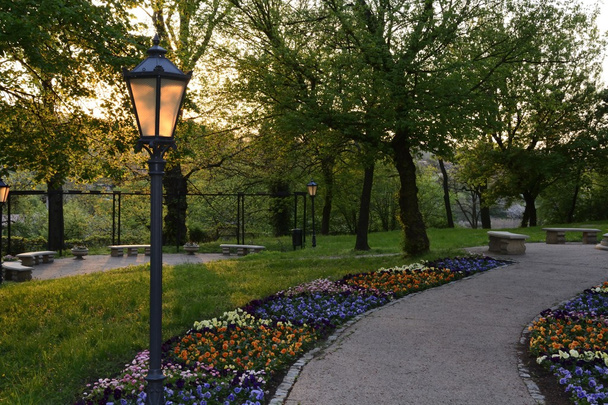 Green parks in Poland - Foto, Imagem
