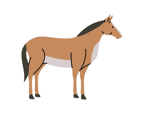Horse hand drawn silhouette. Horse symbol. Stallion silhouette. Vector illustration. Farm animal isolated on white background. - Διάνυσμα, εικόνα