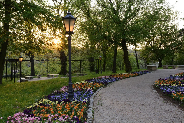 grüne Parks in Polen - Foto, Bild