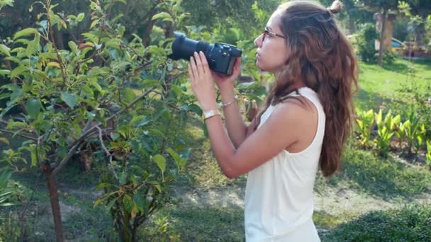 The Photographer In The nature stock video è un bellissimo video clip che mostra una giovane donna scattare foto in giardino. - Filmati, video