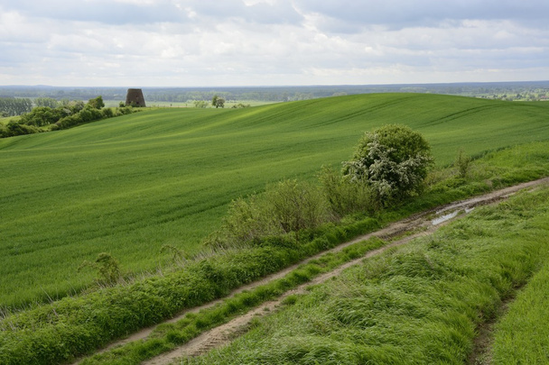 За містом - сільський пейзаж - старий вітряк на підвіконні
 - Фото, зображення