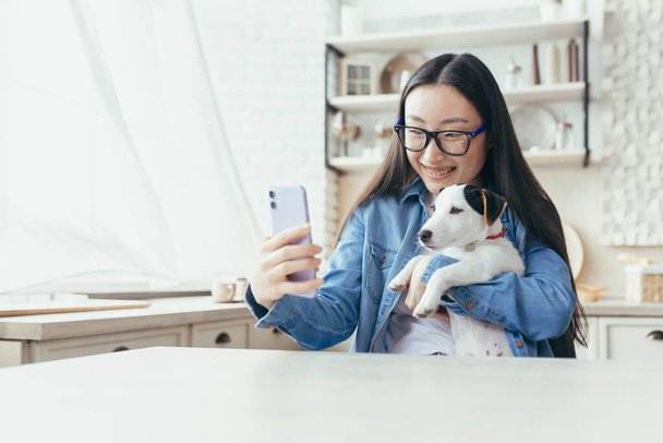 Young beautiful asian woman with pet jack russell terrier talking on video call with friends, woman at home in kitchen using smartphone for remote communication. - Foto, Imagem