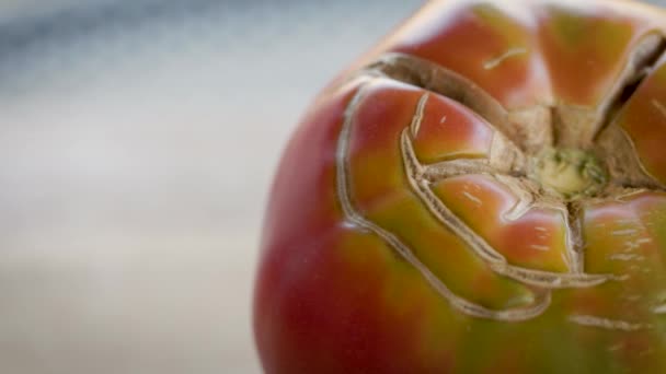 Close-up van gebarsten bovenste deel van rijpe thuis geteelde tomaat - Video