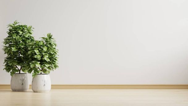 Camera vuota con le piante mockup hanno pavimento in legno. rendering 3d - Foto, immagini