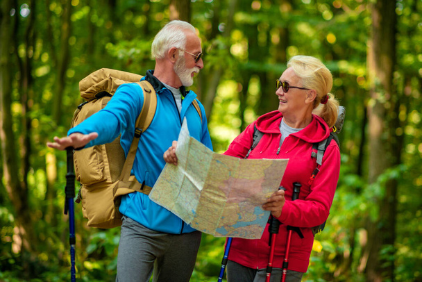 Senior hikers looking at the map during the hike in forest. - Photo, Image