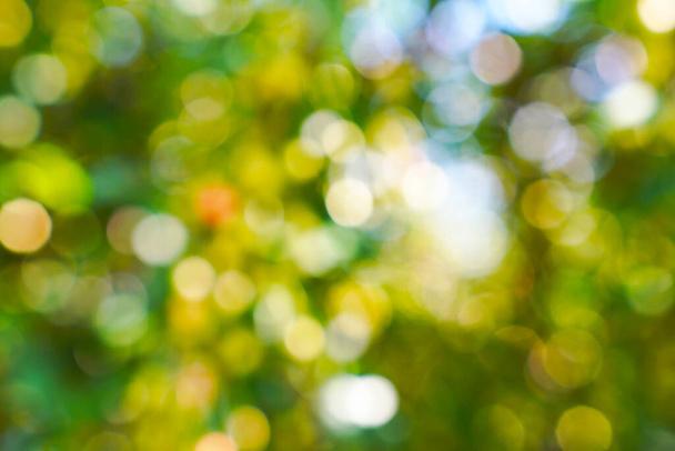 Green bokeh abstract light background. - Foto, afbeelding