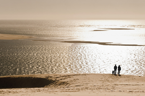 Dune du Pyla - Photo, Image