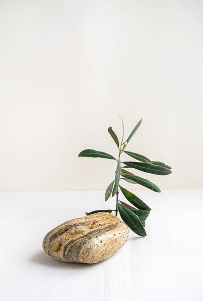 Abstract nature scene with composition of stones, wire and green olive tree branch. Neutral beige background for cosmetic, beauty product branding. - Photo, image