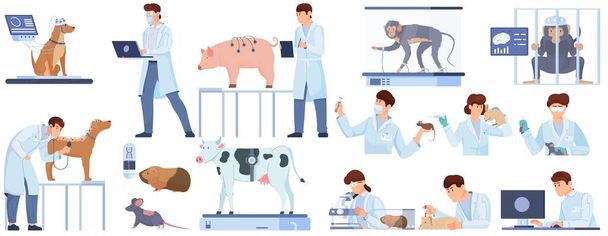 Esperimenti di laboratorio su animali serie piatta di scienziati test farmaci condizioni estreme attività cerebrale isolato vettoriale illustrazione - Vettoriali, immagini