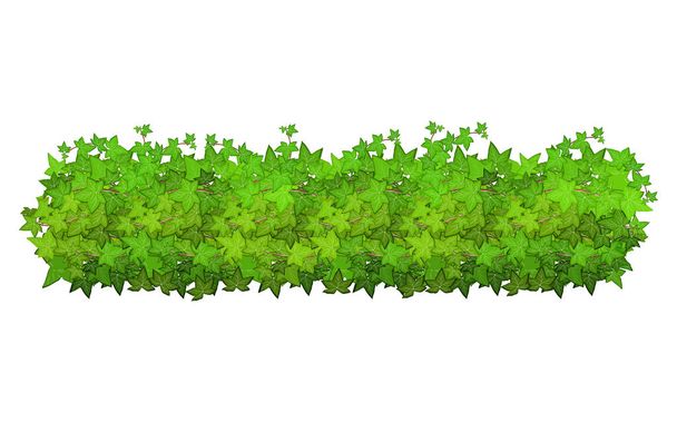 Realistic garden shrub, seasonal bush, boxwood, tree crown bush foliage.Ornamental green plant in the form of a hedge.For decorate of a park, a garden or a green fence. - Wektor, obraz