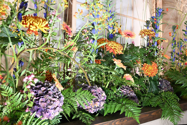 Un giapponese progettato crisantemo composizione floreale. Foto di alta qualità - Foto, immagini