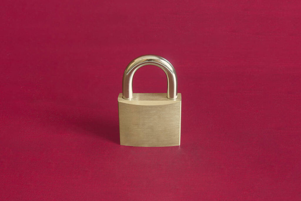 Two golden keys are joined by a metal ring on a colorful studio background. Security and guaranty concept. - Foto, Imagen