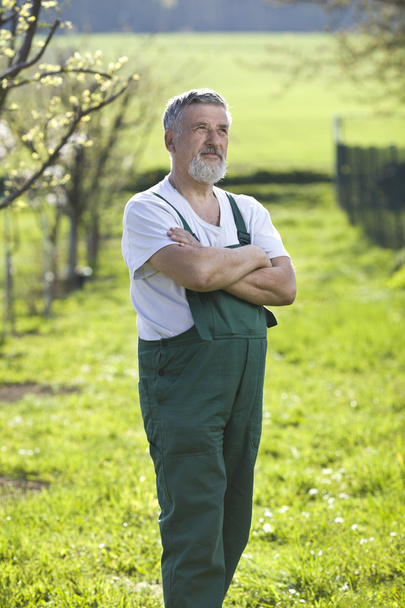 Portrait of a senior man gardening in his garden - Foto, afbeelding