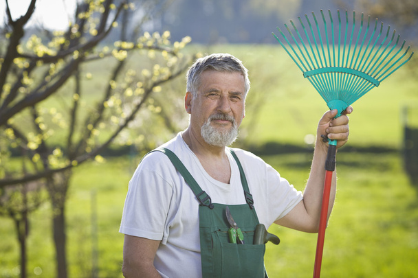 Portrait of a senior man gardening in his garden - Fotoğraf, Görsel