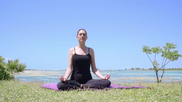 Yoga In The Nature ist ein Fine-Stock-Video, das Aufnahmen von Frau, Natur, Sommer, Entspannung enthält. Yoga im Park praktizieren ist ein Archivvideo, das eine lange Einstellung einer kaukasischen Dame zeigt, die auf dem Gras im Park sitzt und Yoga praktiziert.  - Filmmaterial, Video